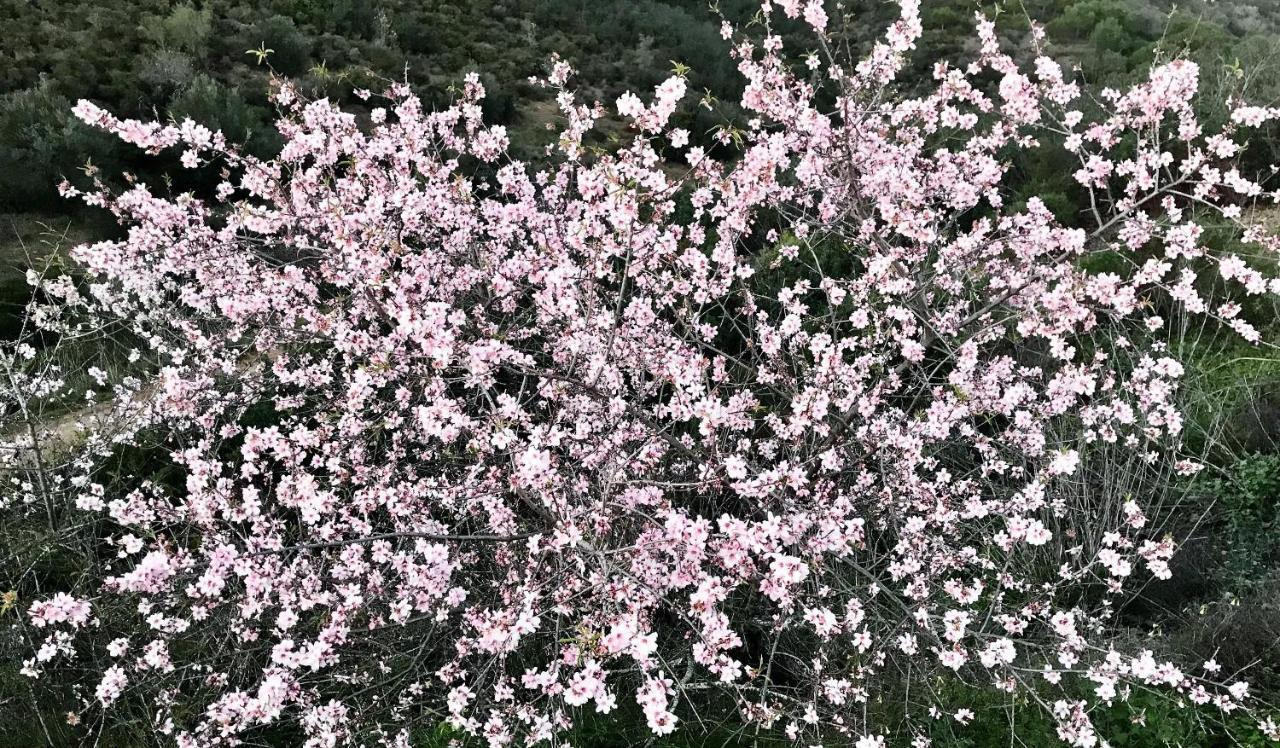 Varandas Do Vale Furnazinhas Castro Marim Εξωτερικό φωτογραφία